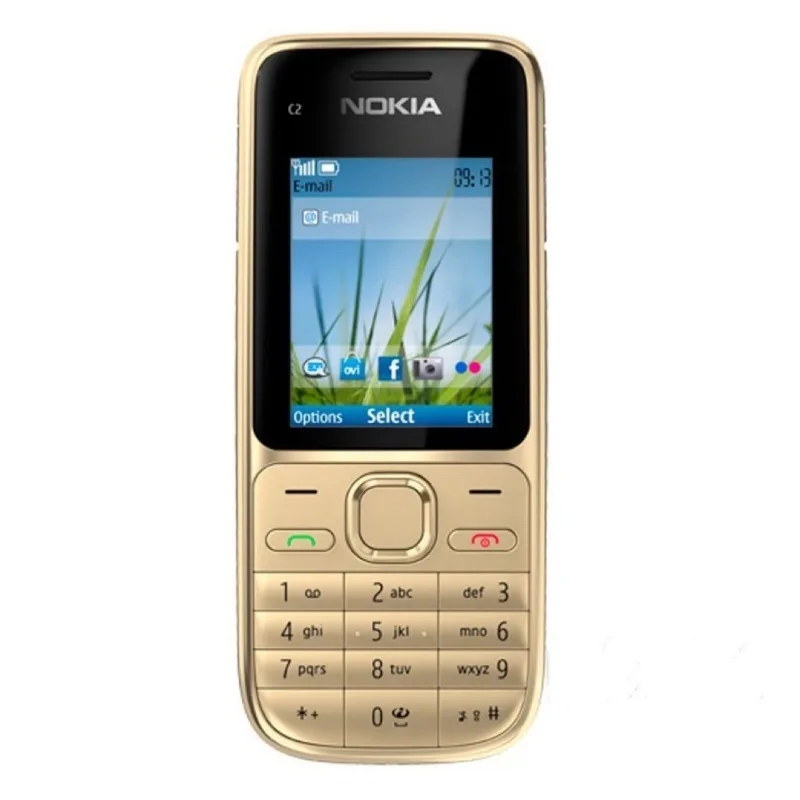 Telefone Celular Nokia C2-01 R - Photography Japanese avaliação e preço